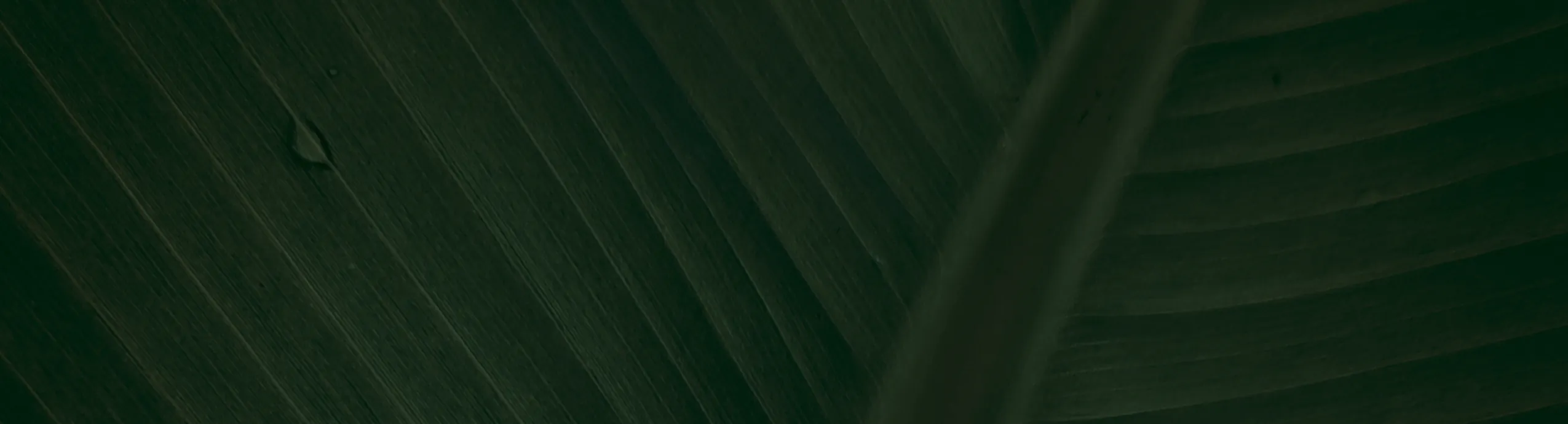 50Pack Reusable Meal Prep Containers Microwave Safe Food Storage Containers