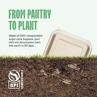 Compostable Clamshell Take Out Food Containers 50Pack HeavyDuty Quality